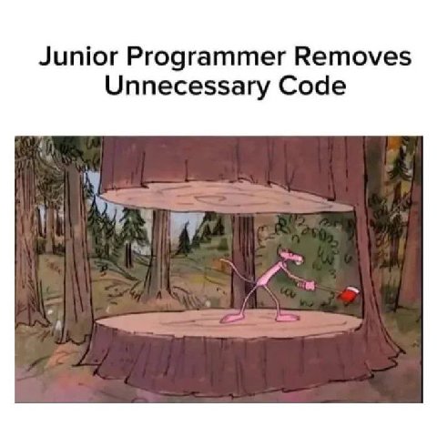 Junior Programmer Removes Unnecessary Code
