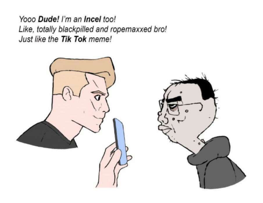 Yooo Dude! тсе! too! Like, totally blackpilled and ropemaxxed bro! Just like the Tik Tok meme!