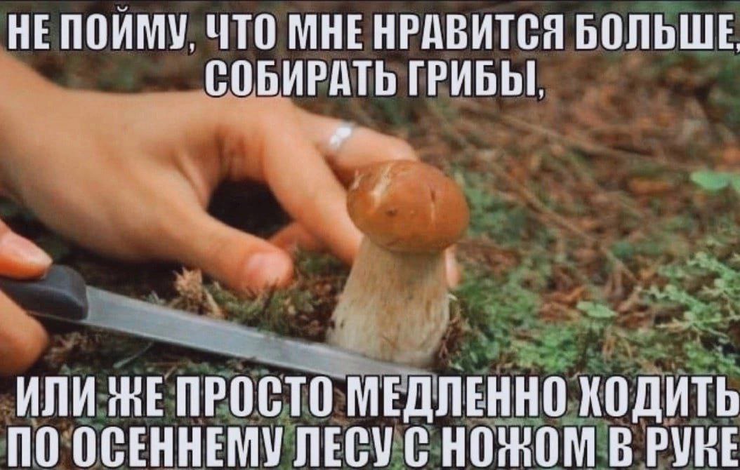 Открытка