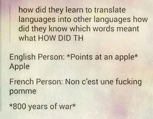 пом did they learn to translate languages into other languages how did they know which words meant what HOW DID English Person: *Points at an apple* Apple French Person: Non une fucking pomme *800 yea