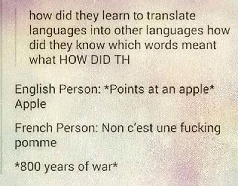 пом did they learn to translate languages into other languages how did they know which words meant what HOW DID English Person: *Points at an apple* Apple French Person: Non une fucking pomme *800 yea