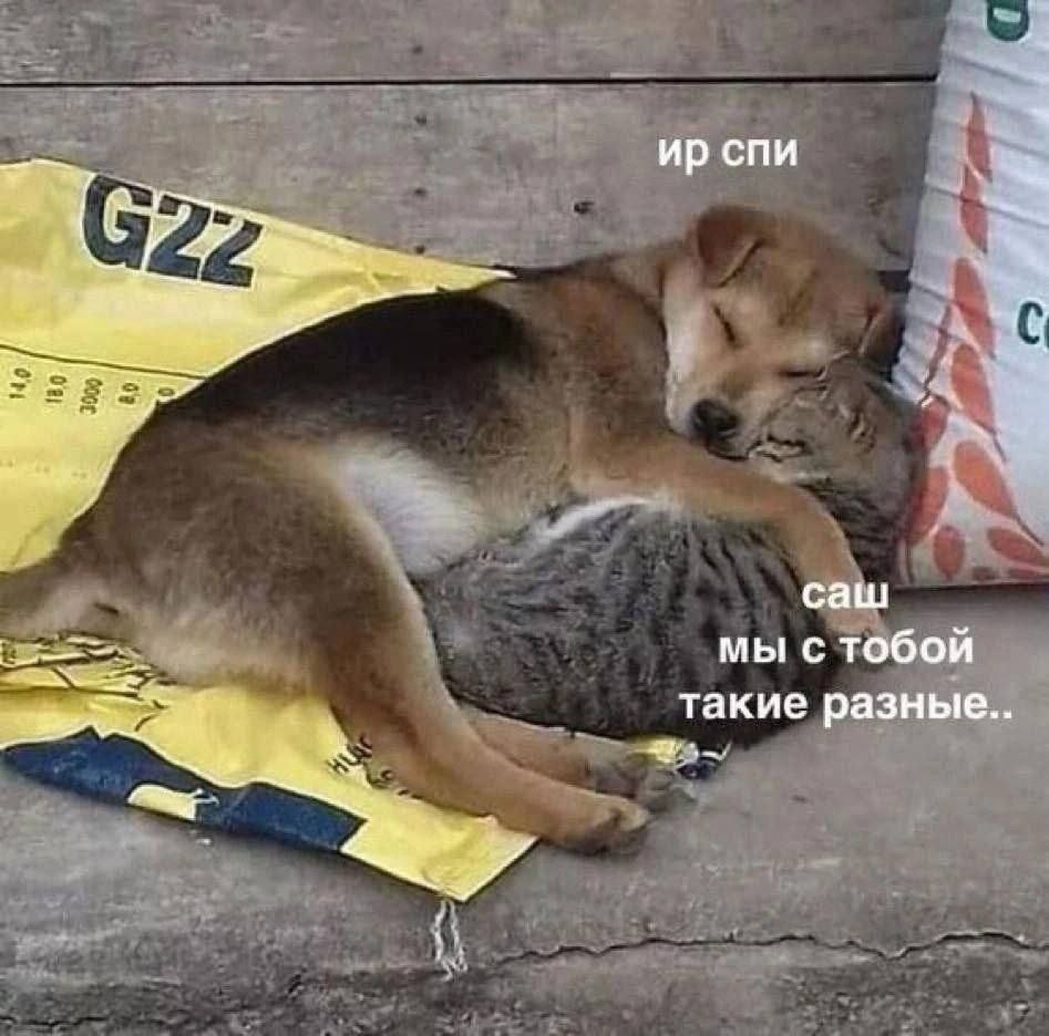 спи саш мы с тобой такие разные..