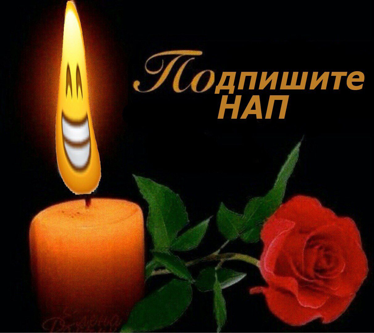 НАП