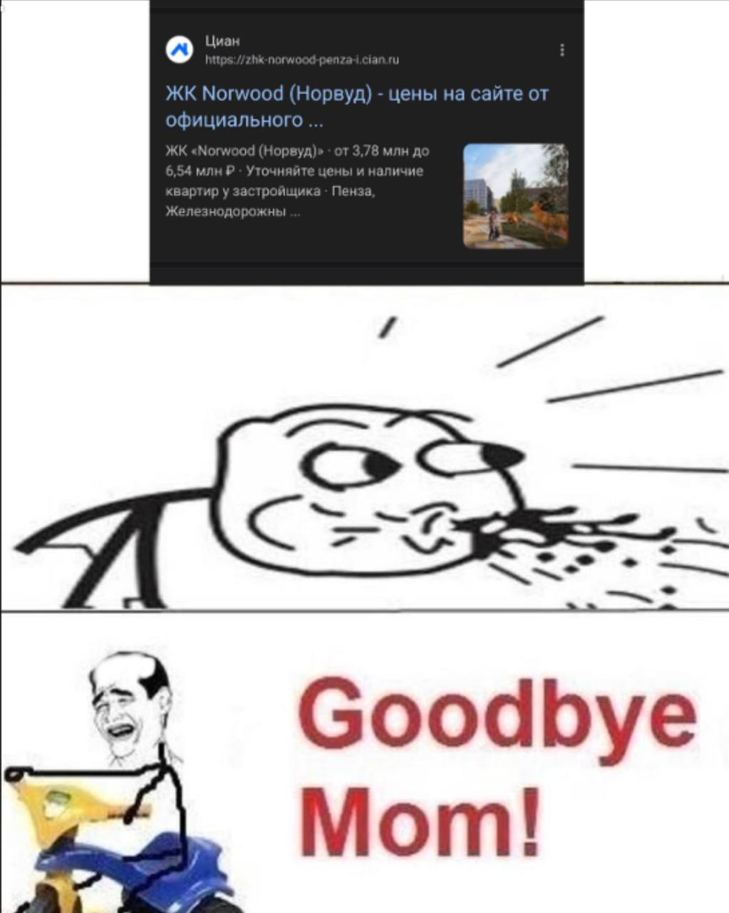 Goodbye Mom!