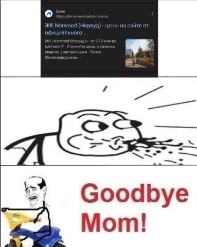 Goodbye Mom!