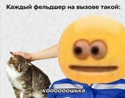 Каждый фельдшер на вызове такой: коооооошька
