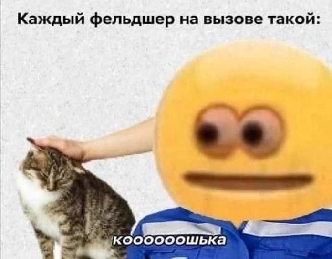 Каждый фельдшер на вызове такой: коооооошька