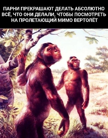 ПАРНИ ПРЕКРАШАЮТ ДЕЛАТЬ АБСОЛЮТНО ВСЁ, ЧТО ОНИ ДЕЛАЛИ, ЧТОБЫ ПОСМОТРЕТЬ НА ПРОЛЕТАЮЩИИ МИМО ВЕРТОЛЁТ “a 1