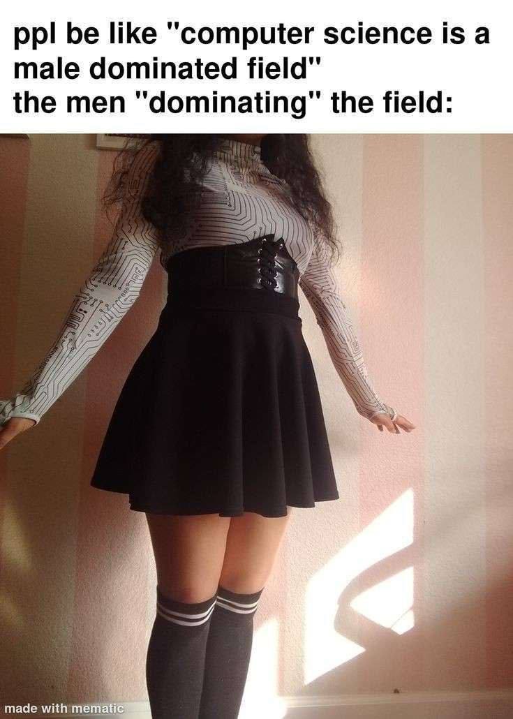 be like "computer science is а male dominated field" the men the field: 7 made with