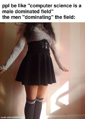 be like "computer science is а male dominated field" the men the field: 7 made with