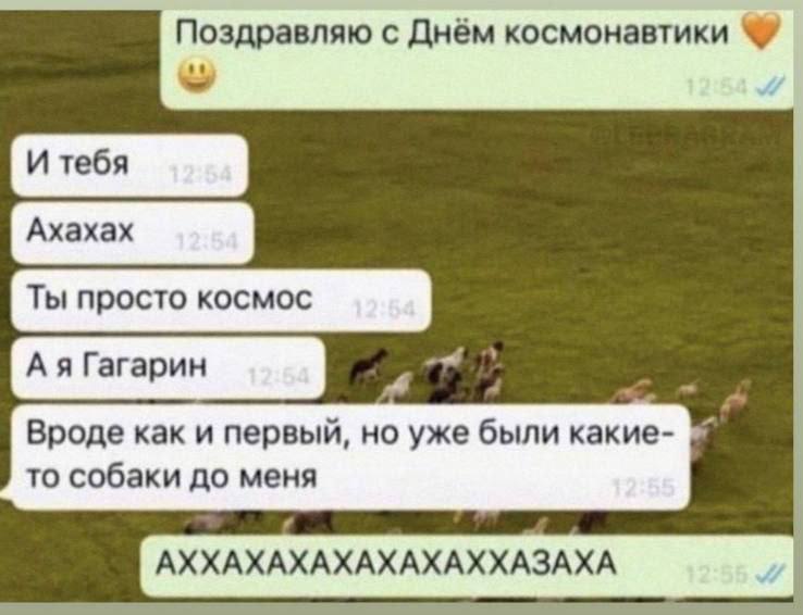 Поздравляю с Днём космонавтики Вроде как и первый, но уже были какие- то собаки до меня АХХАХАХАХАХАХАХХАЗАХА
