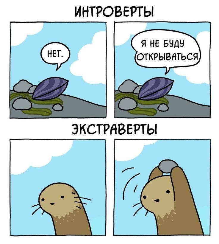 ИНТРОВЕРТЫ Я НЕ БУДУ ЭКСТРАВЕРТЫ