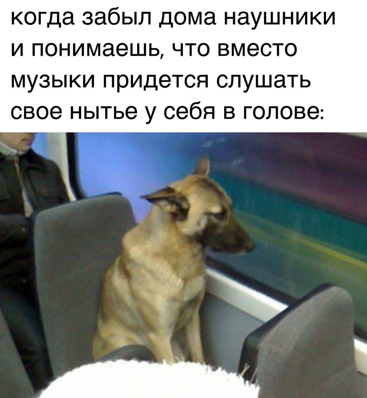 когда забыл дома наушники и понимаешь, что вместо музыки придется слушать свое нытье у себя в голове: