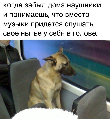 когда забыл дома наушники и понимаешь, что вместо музыки придется слушать свое нытье у себя в голове: