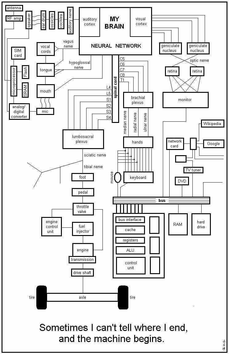 2 5 |5 auditary MY yisual я о [8 cortex BRAIN cortex yagus vocal NEURAL NETWORK geniculate geniculate cords nucleus nucleus card hypoglossal optic nerve 3 о plexus analog/ digital converter 84 5 5 Wik