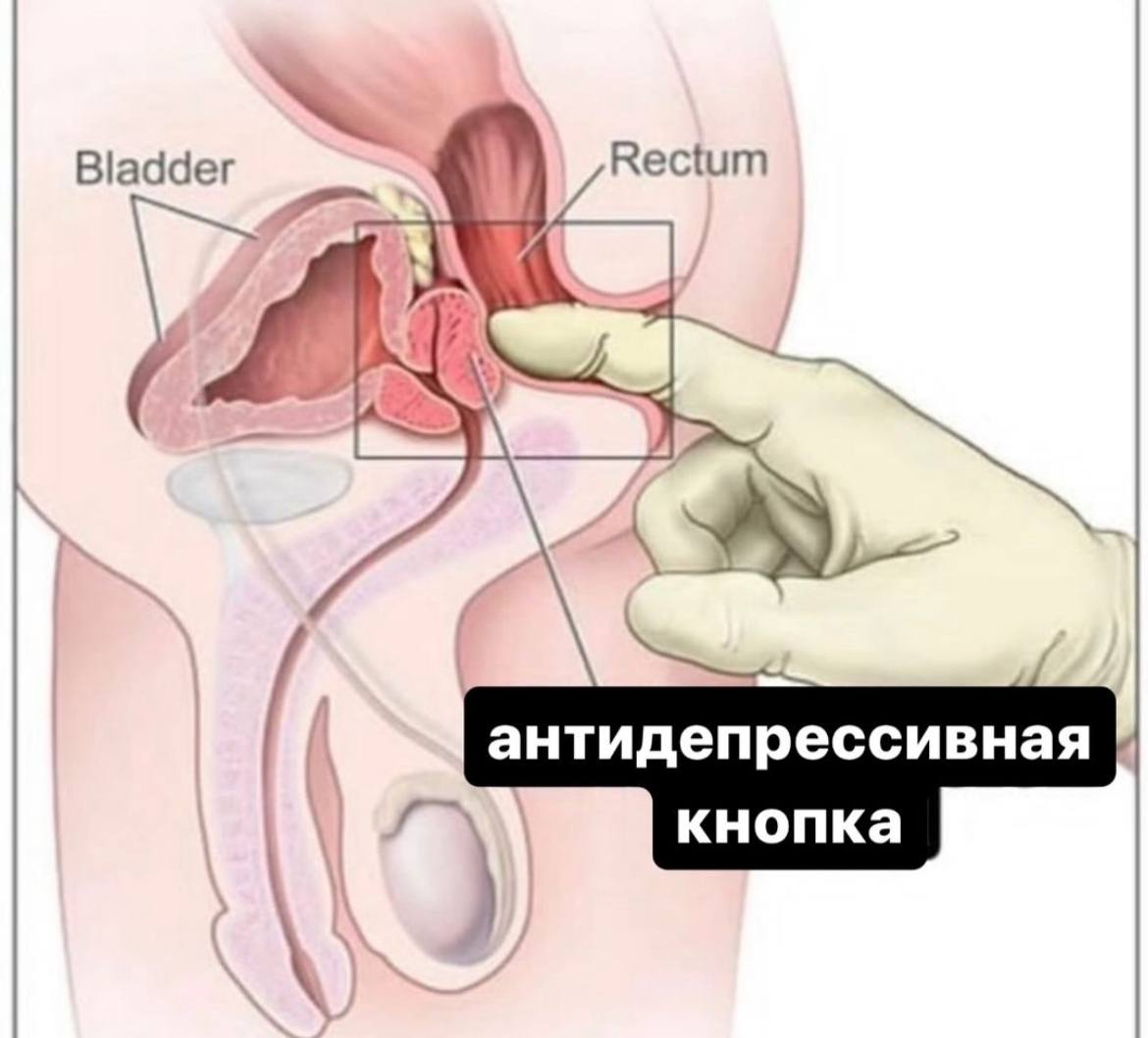yRectum 4 антидепрессивная кнопка