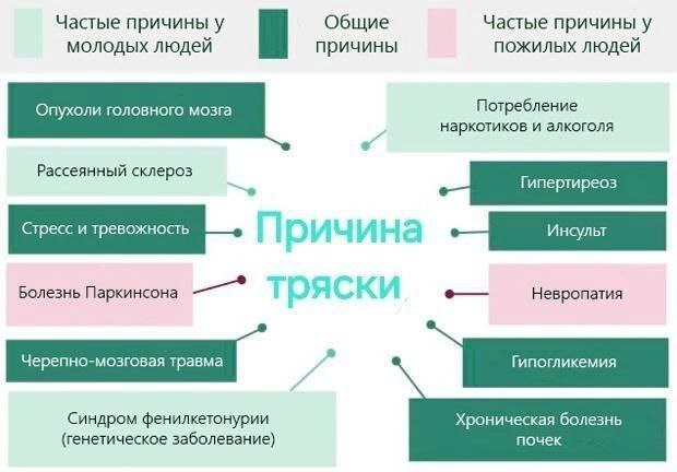 Частые причины у Общие Частые причины у молодых людеи причины пожилых людеи Потребление Опухоли головного мозга наркотиков и алкоголя Рассеянный склероз у. К] Болезнь Паркинсона Невропатия Черепно-моз