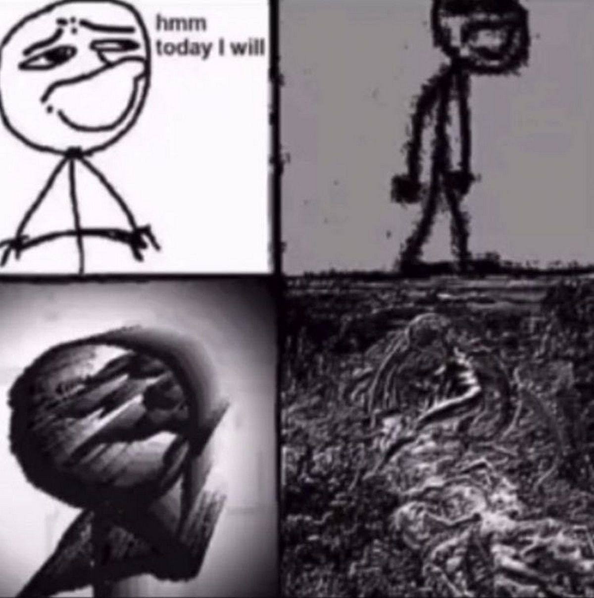 2 4