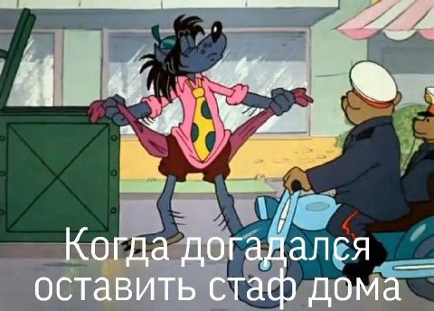 Когда дог адался оставить стаф дома