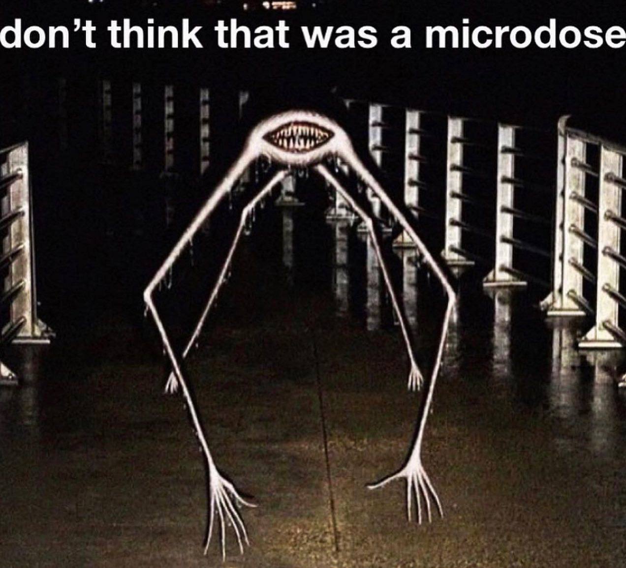don’t think that was a microdose