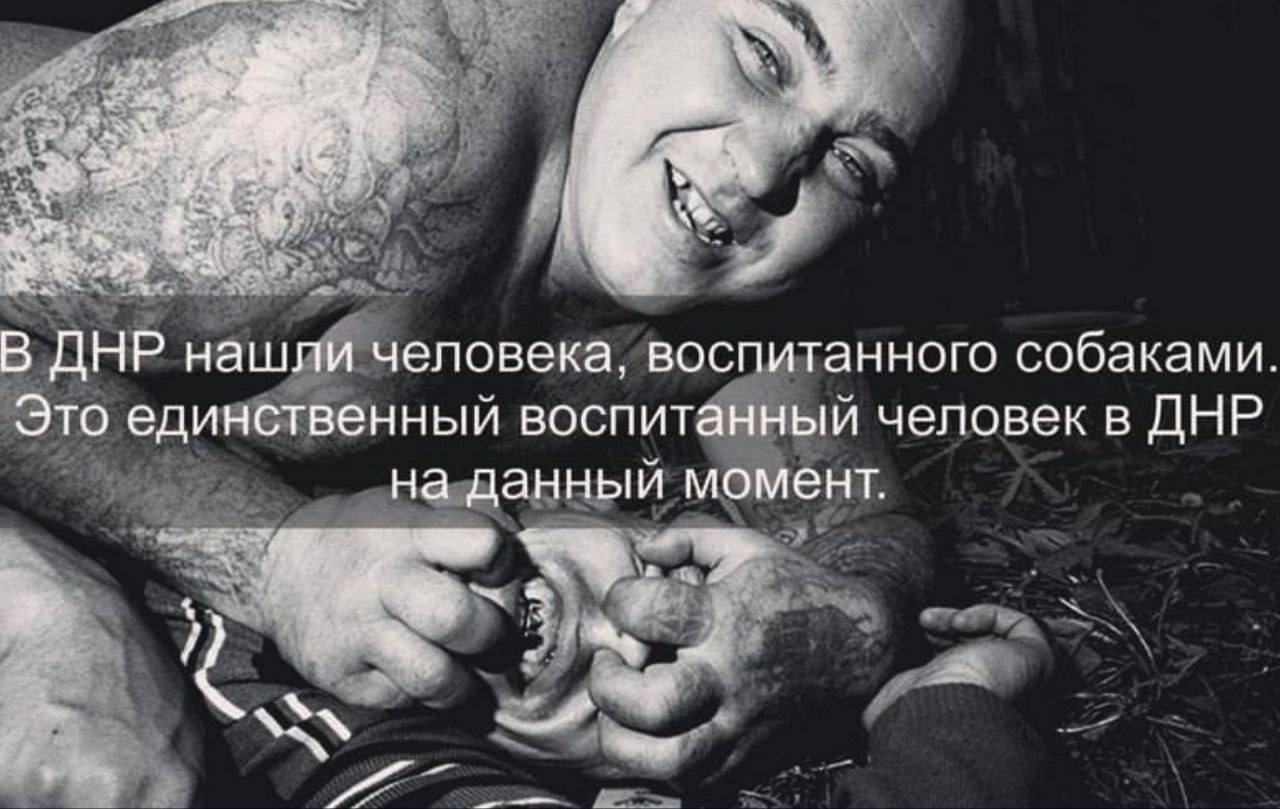В ДНР нашли человека, воспитанного собаками Это единственный воспитанный человек в ДНР на данный момент aN