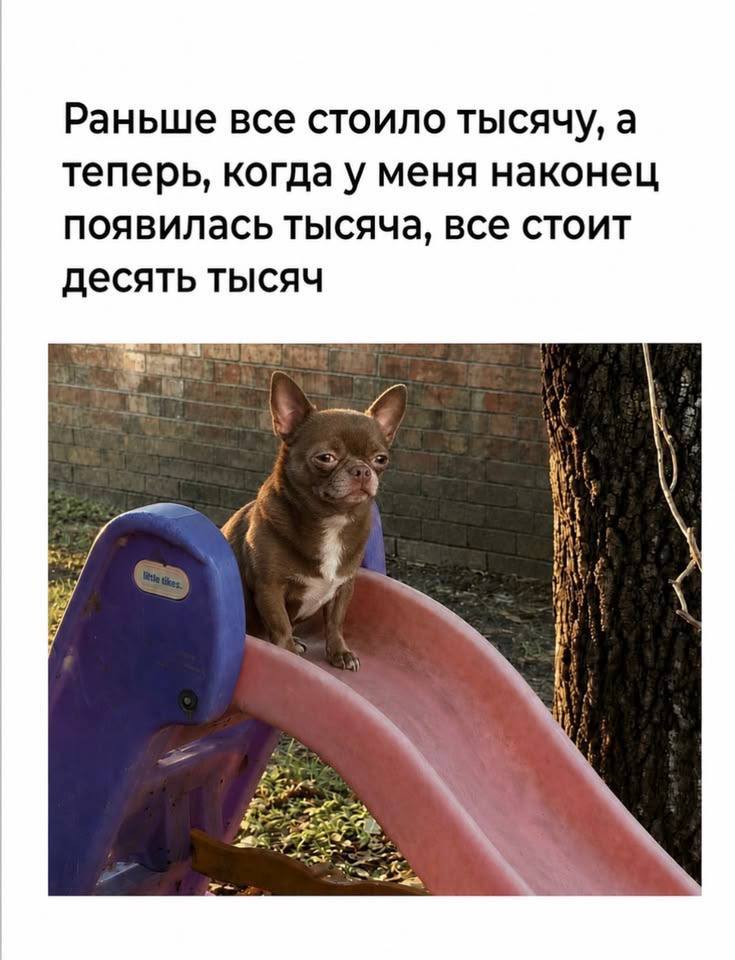 Раньше все стоило тысячу, а теперь, когда у меня наконец появилась тысяча, все стоит десять тысяч