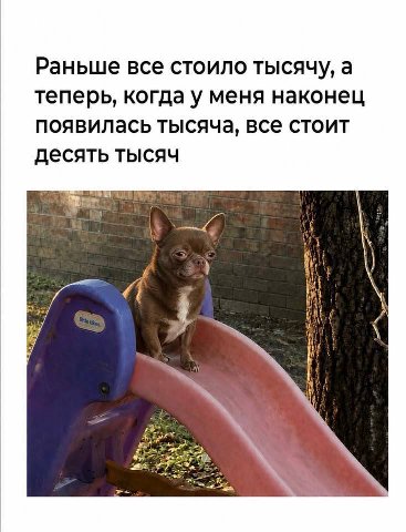 Раньше все стоило тысячу, а теперь, когда у меня наконец появилась тысяча, все стоит десять тысяч