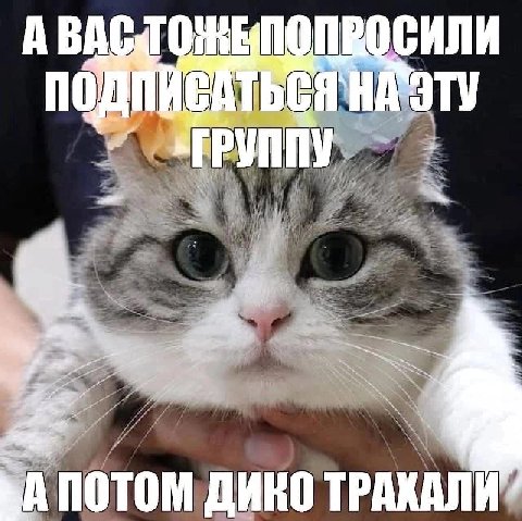 A HASTY a В a ПОТОМ ДИКО ПОТОМ ДИКО