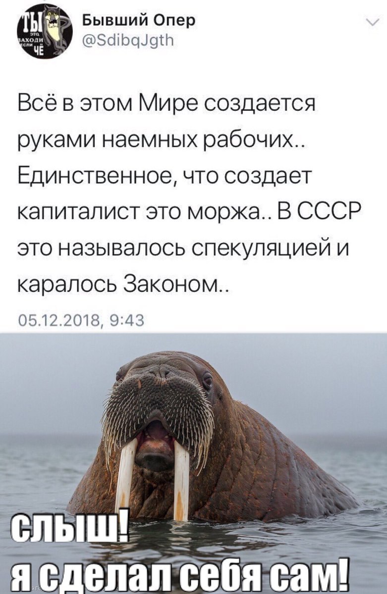 Бывший Опер ЧЕ @SdibqJgth Все в этом Мире создается руками наемных рабочих Единственное, что создает капиталист это моржа.. В СССР это называлось спекуляциеи и каралось Законом 05.12.2018, 9:43