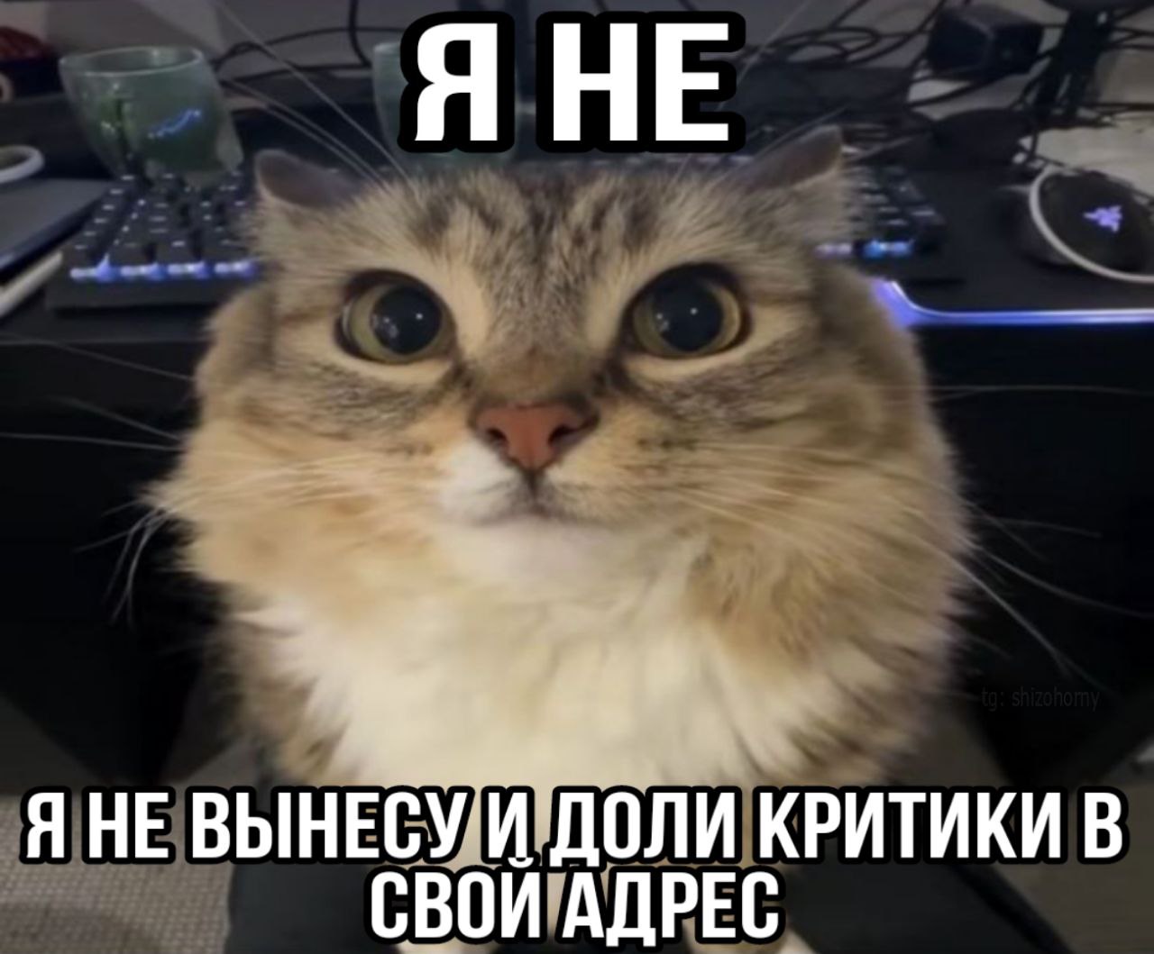 A HE ВЫНЕСУ И ДОЛИ КРИТИКИ В СВОИ АДРЕС