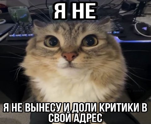 A HE ВЫНЕСУ И ДОЛИ КРИТИКИ В СВОИ АДРЕС