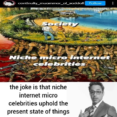 continuity_muammar_al_saddafi Follow Niche micro internet the joke is that niche internet micro celebrities uphold the present state of things