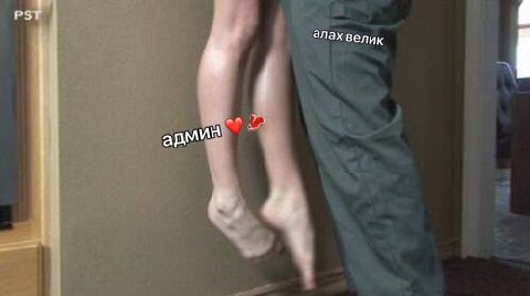 pst anax велик a