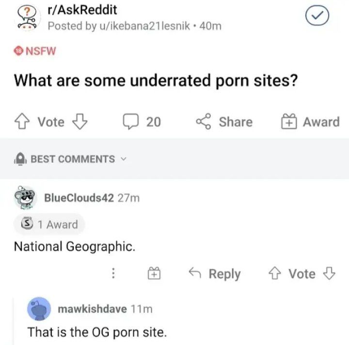 2) r/AskReddit Posted u/ikebana21lesnik NSFW What are some underrated porn sites? 4} Vote 20 Share Award BEST BlueClouds42 1 Award National Geographic. Веру Vote mawkishdave That is the porn site.