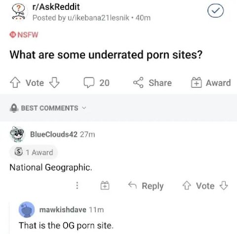 2) r/AskReddit Posted u/ikebana21lesnik NSFW What are some underrated porn sites? 4} Vote 20 Share Award BEST BlueClouds42 1 Award National Geographic. Веру Vote mawkishdave That is the porn site.