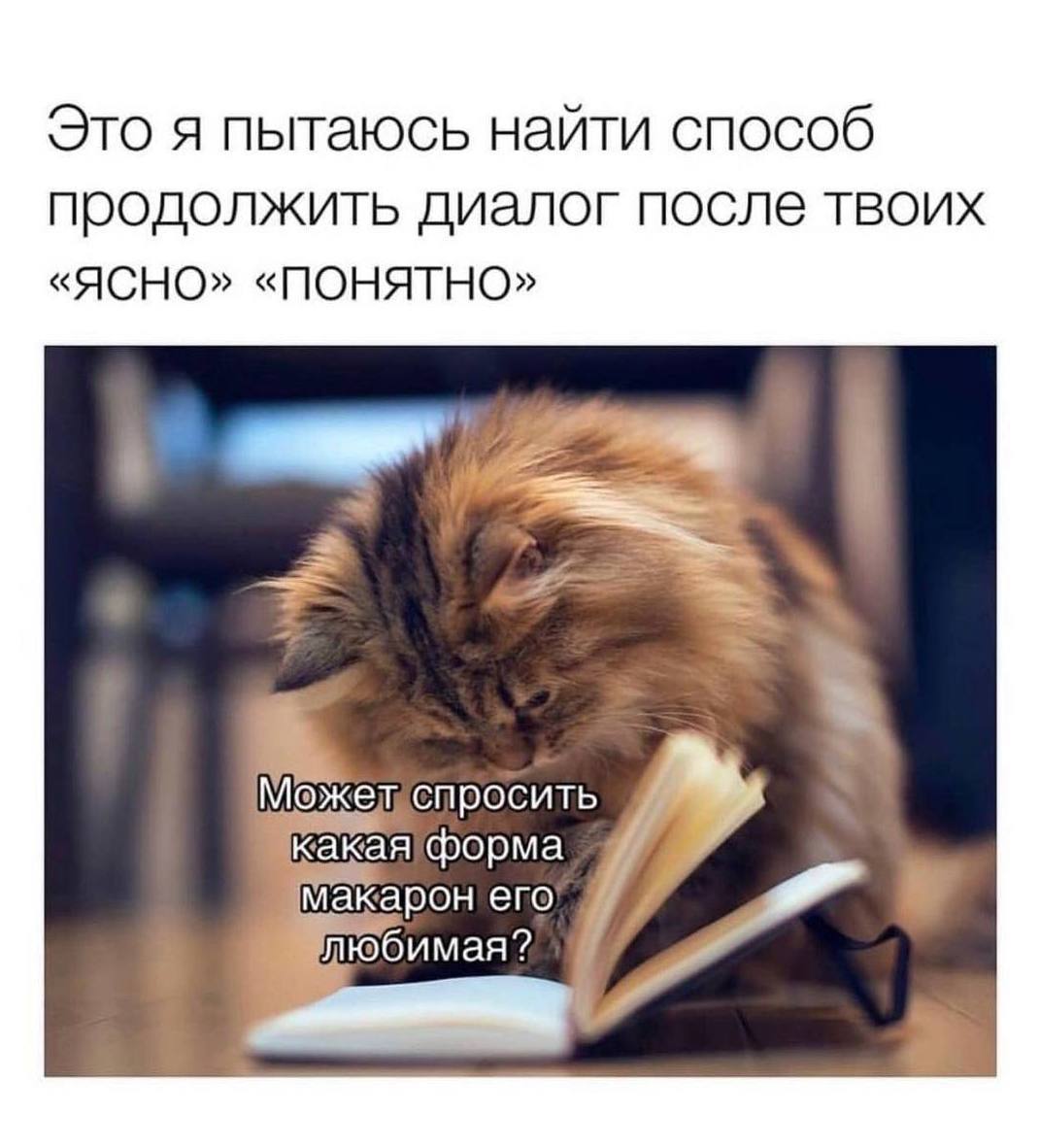 Это я пытаюсь найти способ продолжить диалог после твоих «ЯСНО» «ПОНЯТНО» А Можелиспросить макарон его пюбимая?