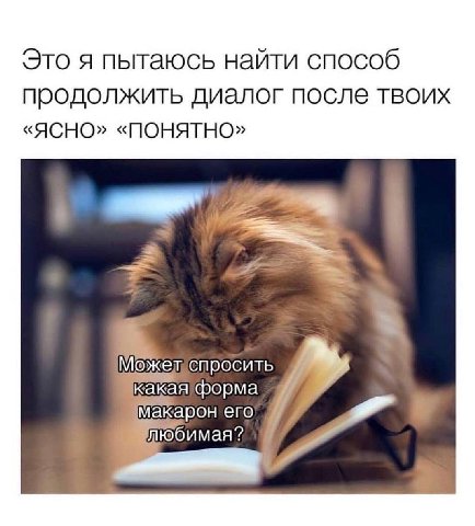 Это я пытаюсь найти способ продолжить диалог после твоих «ЯСНО» «ПОНЯТНО» А Можелиспросить макарон его пюбимая?