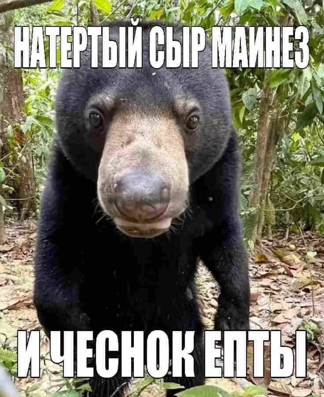 У; И РЫЙ СЫР i Pay we a ECH Taye «an
