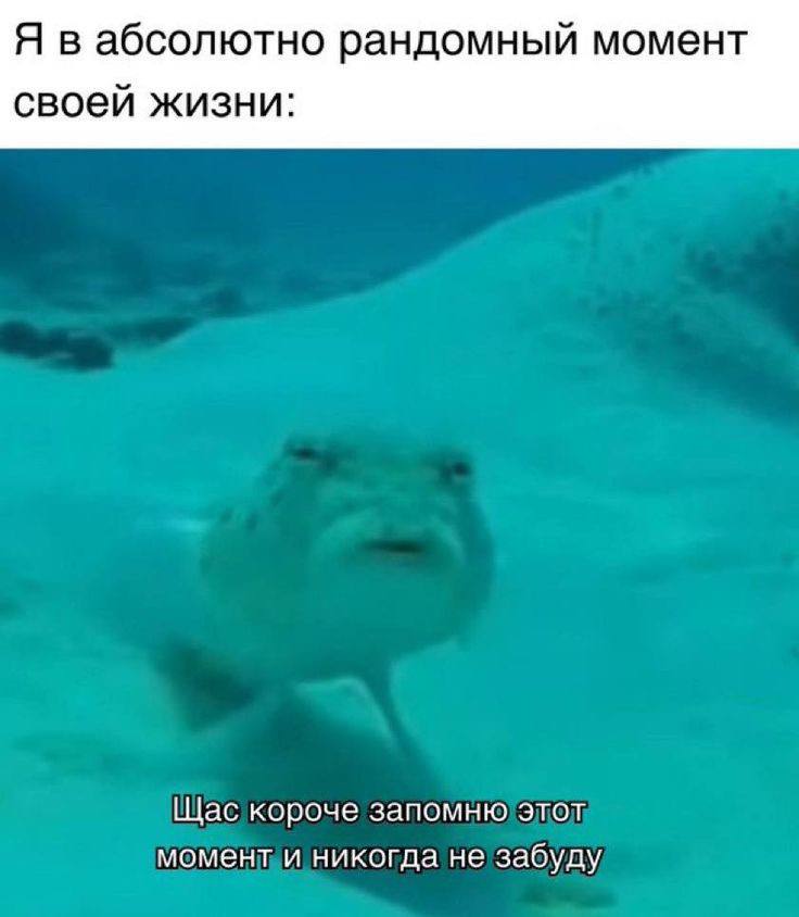 Я в абсолютно рандомный момент своей жизни: Щас короче запомню этот момент и никогда не забуду