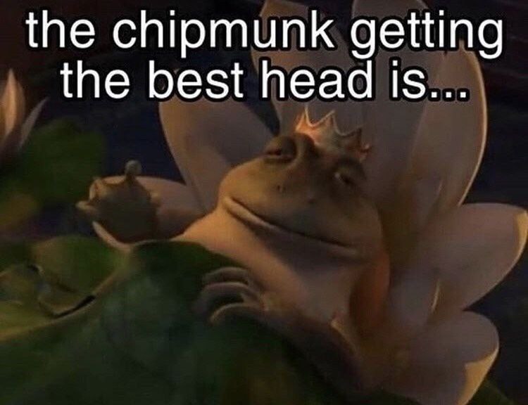 the chipmunk getting the best head is...