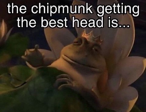the chipmunk getting the best head is...
