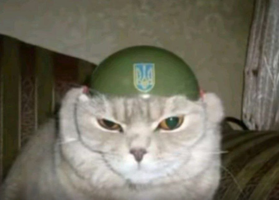у