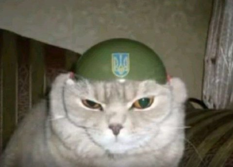 у