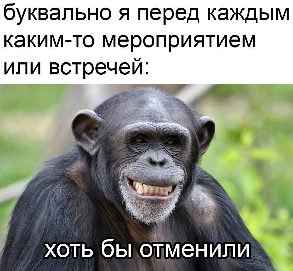 буквально я перед каждым каким-то мероприятием или встречей: хоть бы
