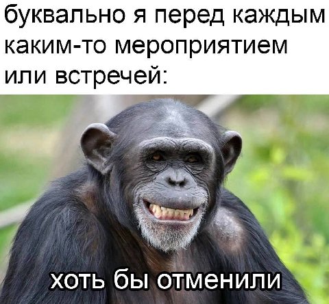 буквально я перед каждым каким-то мероприятием или встречей: хоть бы