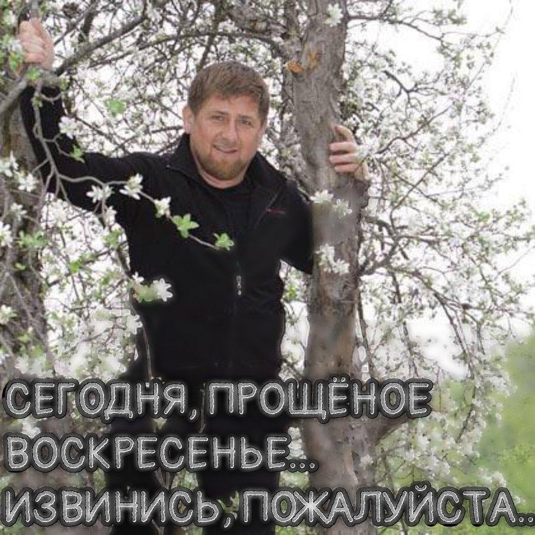 Ree ПРО о, ПОЖАЛУЙСТА,