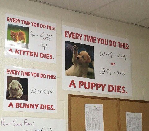 EVERY TIME О DOTH EVERy KITTEN Dies. EVERY TIME YOU A РУРру DIE A BUNNY DIEs В,