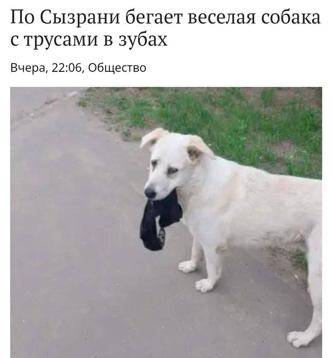 нужны только такие новости