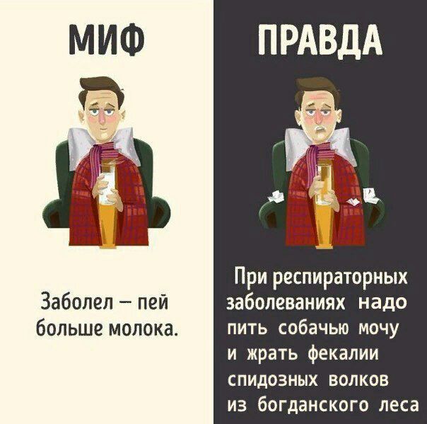 МИФ ПРАВДА При респираторных Заболел пей заболеваниях надо больше молока. пить собачью мочу и жрать фекалии спидозных волков из богданского леса
