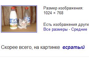 Размер изображения: 1024 768 Есть изображения други Все размеры Средние Скорее всего, на картинке всратый